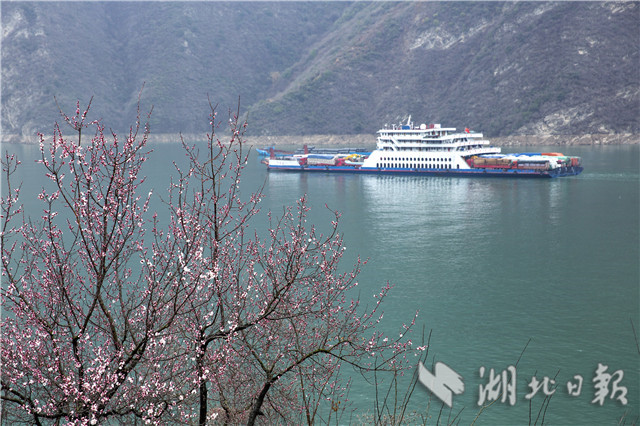 春到三峡山花开