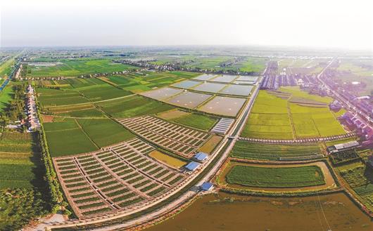 （文末有摘要）【不忘初心将改革进行到底】【湖北巨变】农村水利夯实乡村振兴基础——改革开放40年湖北农村水利工作回顾