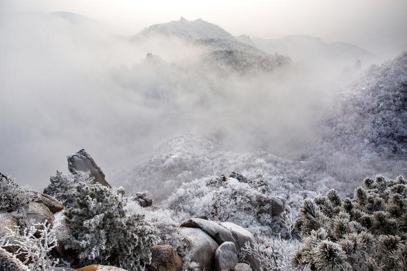 辽宁省政协委员张义生：给景区赋予更多文化内涵 让景区“活”起来