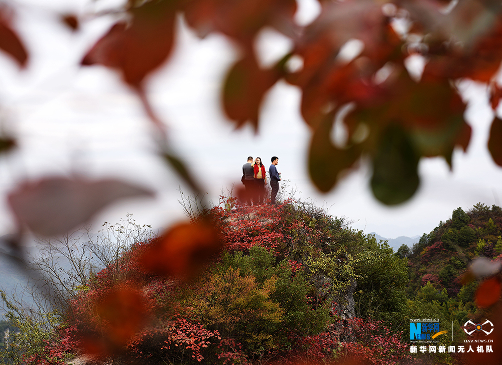 【渝情渝景】航拍重慶酉陽山羊村迎紅葉最佳觀賞期