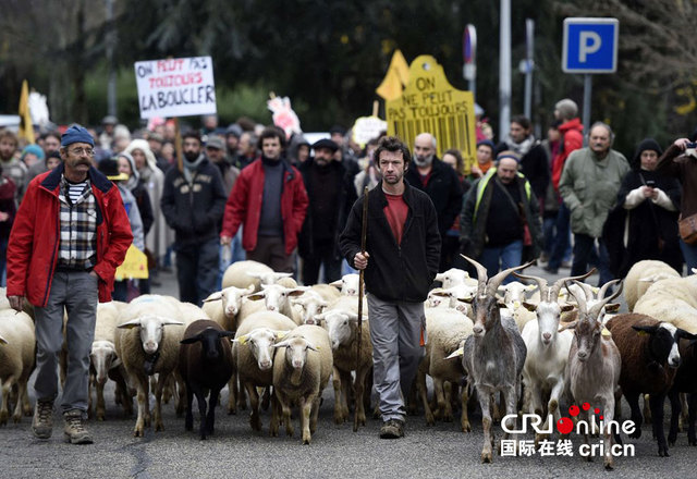 法國羊群上街"遊行" 抗議植入晶片