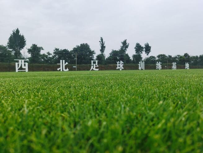 全国運動大会、北西地域の経済発展を支援_fororder_2