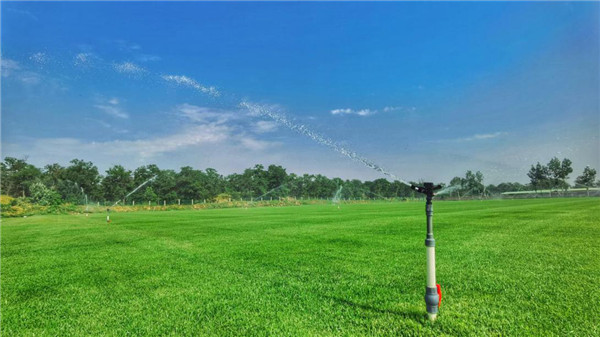 全国運動大会、北西地域の経済発展を支援_fororder_3