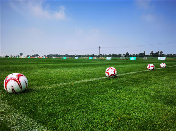 全国運動大会、北西地域の経済発展を支援_fororder_1