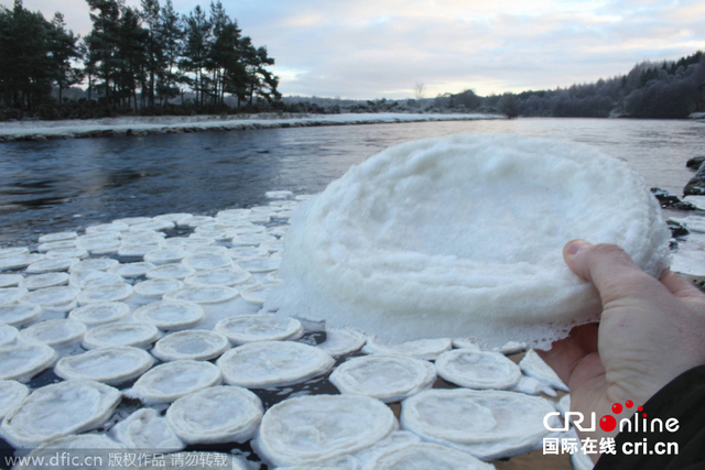 英国苏格兰迪河水面漂浮大量“松饼”状冰块