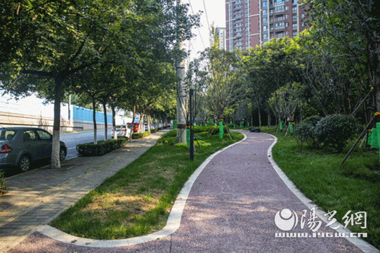 曲江南三环彩色自行车道来了 将于今年年底前完工