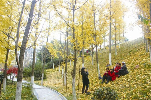 宜昌将打造湖北首个花园城市 营造门户景观