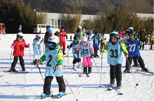 【楊賓】“激情冰雪•魅力北京”  千人滑雪體驗活動在京啟動