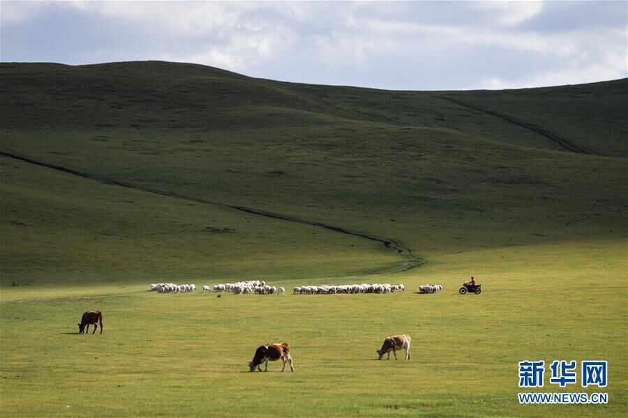 शरद ऋतुमा घाँसेमैदानको दृष्य