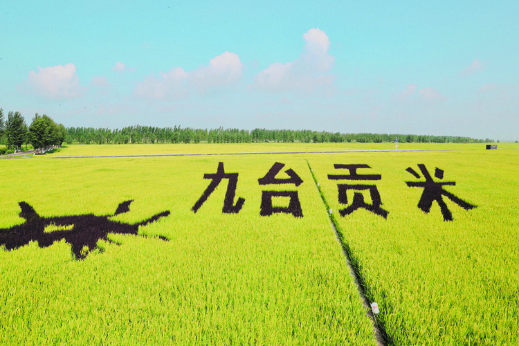 長春：鄉村旅遊助力鄉村振興 以鄉村旅遊做活美麗經濟