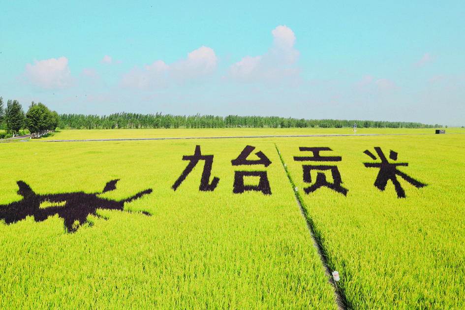 长春：乡村旅游助力乡村振兴 以乡村旅游做活美丽经济