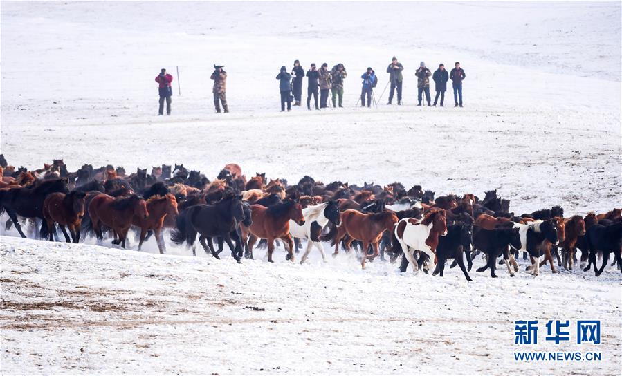 內蒙古打造全域旅遊新格局