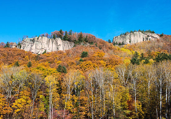 길림 백하임업국, 신형 특색관광업 발전_fororder_6