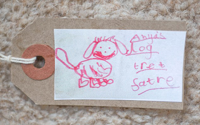 英国6岁女孩网上卖狗饼干畅销全球 打算攒钱买房