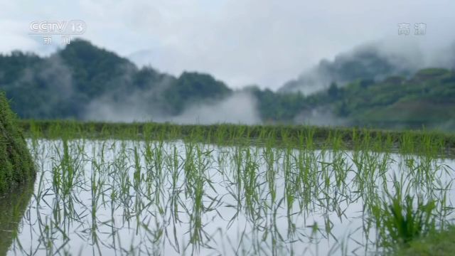 一村一寨总关情丨广西大寨村：旅游致富 绿水青山就是金山银山