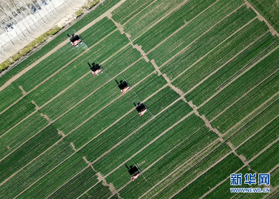 安徽：春來農事忙