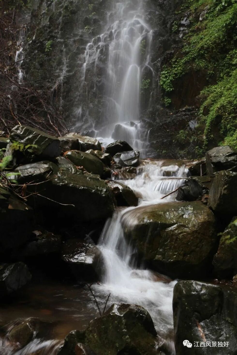 朱 虹:為什麼靖安中源鄉避暑旅遊這麼火? 朱 虹:為什麼靖安中源鄉避暑旅遊這麼火?