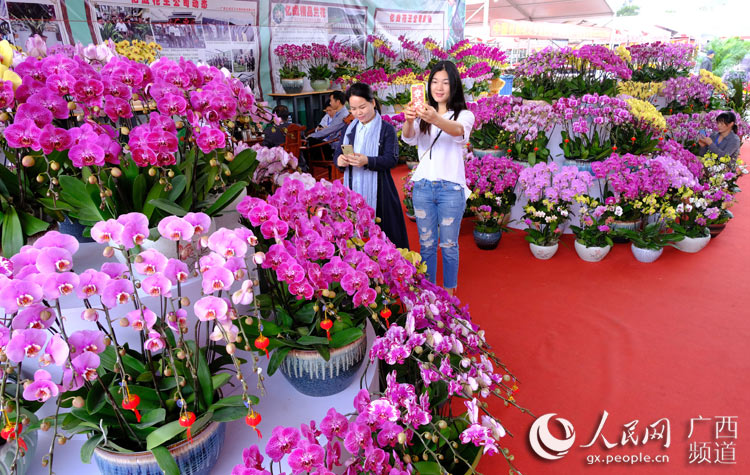 广西南宁：迎春花市迎新年