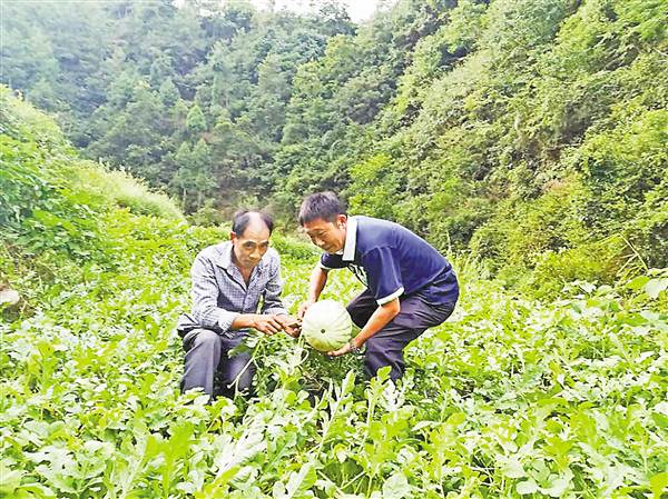 【区县联动】【万州】实干树形象实绩惠民生 全镇最穷老土村变洋了