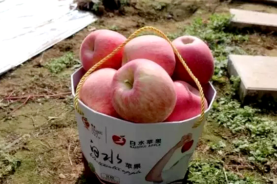 陕西白水：依托互联网苹果小镇 贫困村喜获扶贫商铺