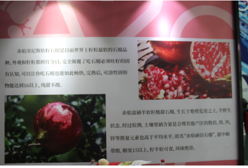 第二届A20新农业盛典举办，赤焰石榴创始人吴智阐述新农业变革之路