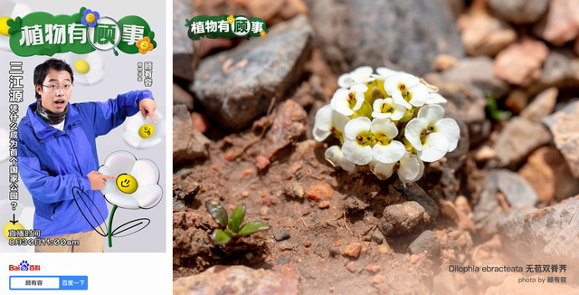 让知识更鲜活 百度百科签约植物学家顾有容