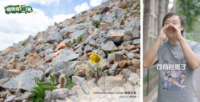 让知识更鲜活 百度百科签约植物学家顾有容