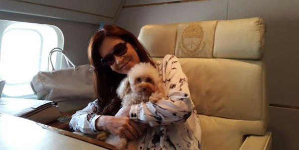阿根廷總統新年新政：乘客可帶小型寵物狗登機