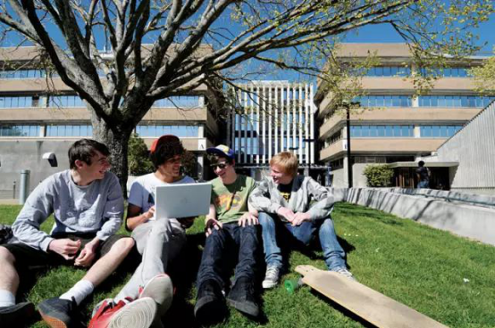 两度造访新西兰，一次求学成功一次遇上斐婴宝E体验中心