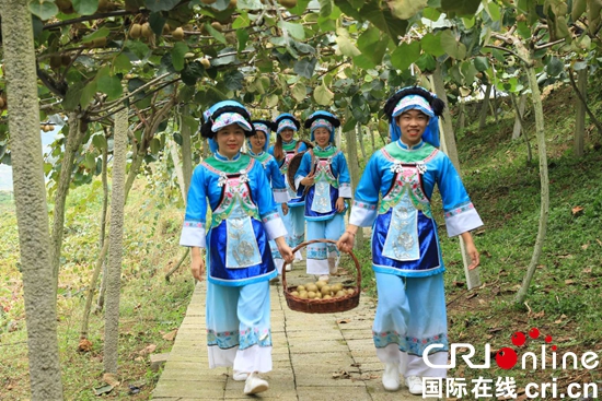 贵州六盘水举行猕猴桃产业新闻发布会