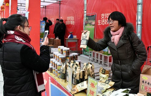 【河南供稿】南陽市鎮平縣第三屆消費扶貧年貨節開幕