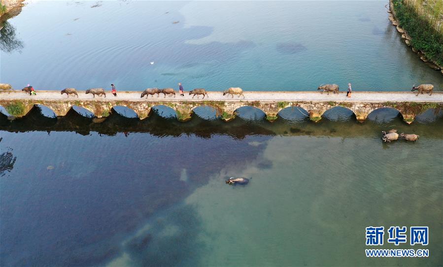 天空之眼瞰百色