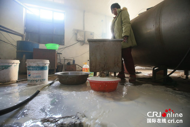 京冀地区牛奶滞销 北京奶农日倒上千斤牛奶