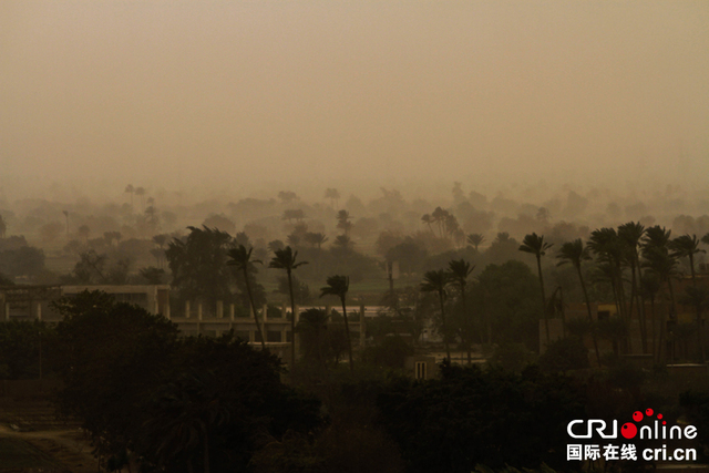 埃及首都开罗遭沙尘暴袭击
