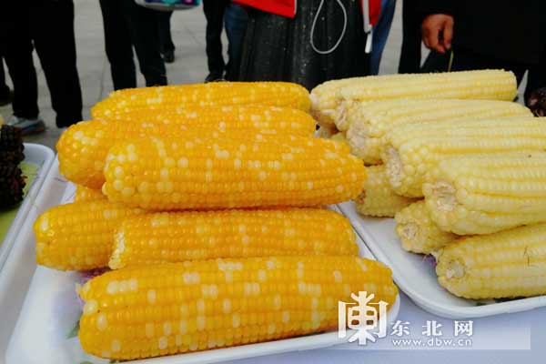 金秋時節“玉”見你 綏化市第四屆鮮食玉米節舉行