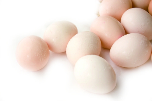 黑龍江省前三季度雞蛋出場價同比漲近4成生豬降2成