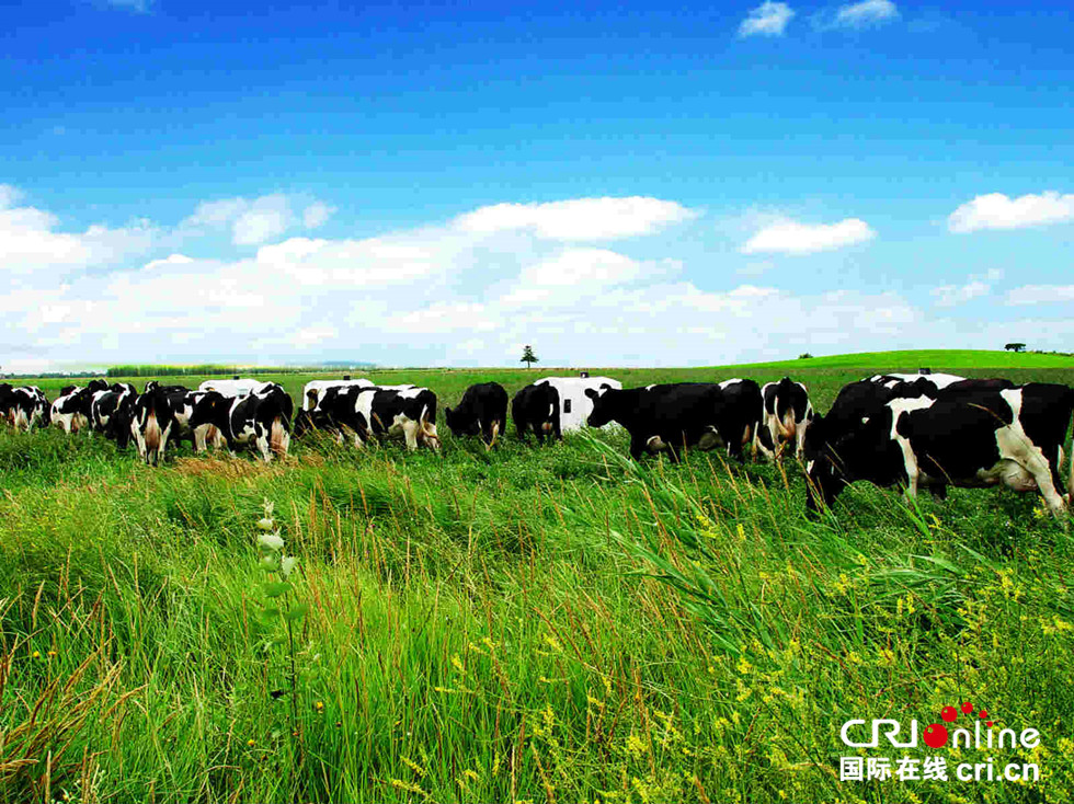 图片默认标题_fororder_图二_副本