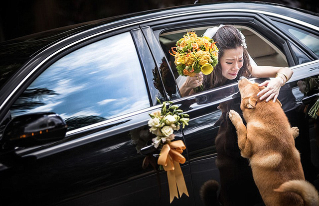 全球最佳婚礼摄影作品出炉 展现最温馨浪漫瞬间