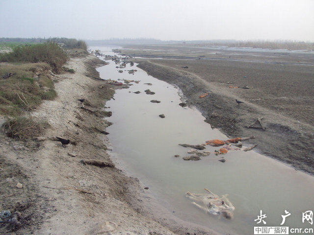印度恒河漂浮上百具屍體 疑因無錢火葬被拋進河