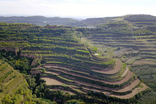 走向我们的小康生活|在那碧绿的阶梯上——“梯田之乡”甘肃庄浪县的“三级跳”