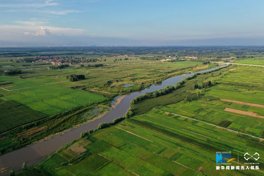 【城市远洋】河南温县：秋日田园风光美
