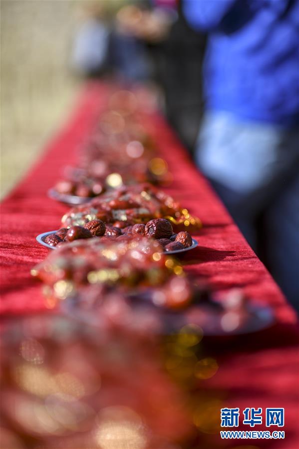 遠方的新疆等著您 遠方的新疆等著您