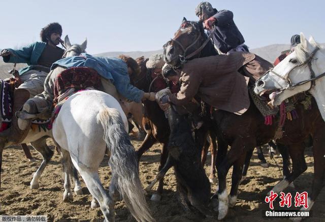 阿富汗舉辦傳統國賽 騎手馬背上搶羊屍體