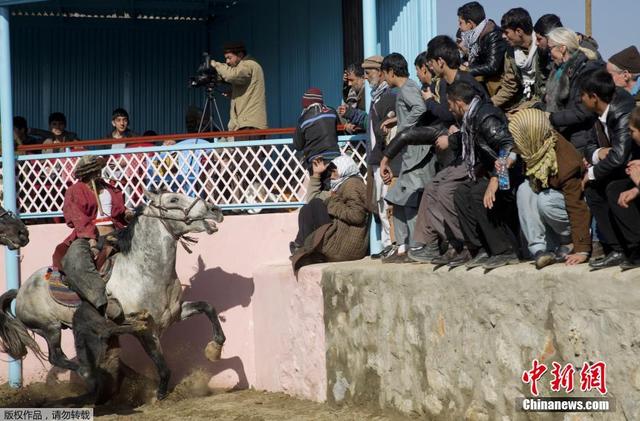 阿富汗舉辦傳統國賽 騎手馬背上搶羊屍體