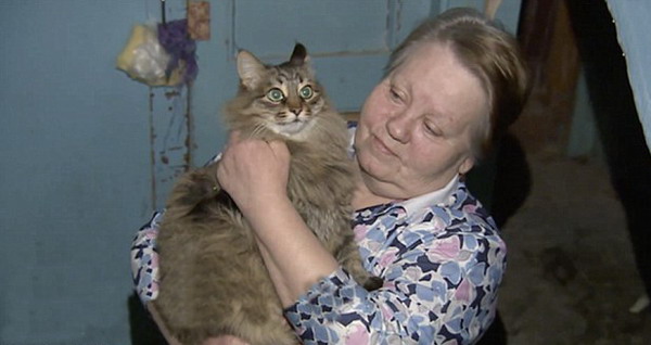 俄罗斯一流浪猫救活弃婴 为其取暖数小时