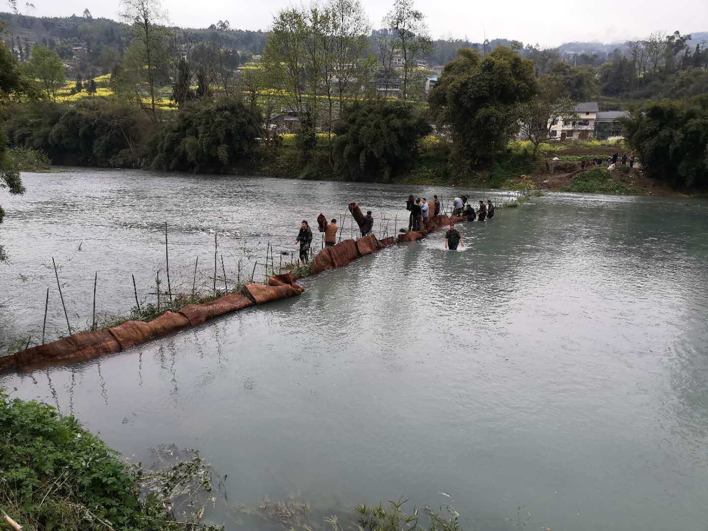 （有修改）【加急】【A】重庆南川一企业被敲响环保警钟 流放20.5万尾鱼苗修复凤咀江生态环境