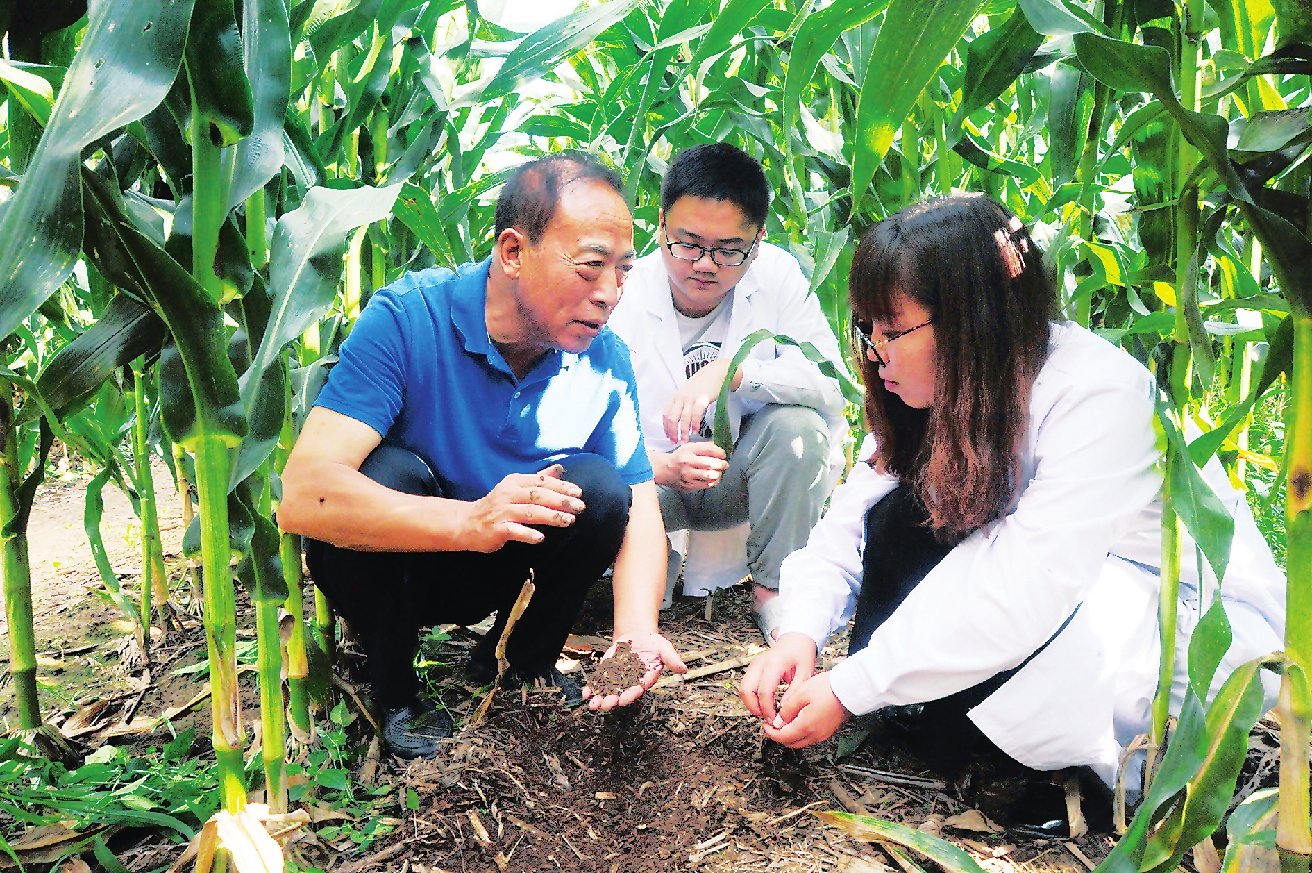 深耕幸福土地 共築美麗鄉村——梨樹縣推廣黑土地保護性耕作掠影