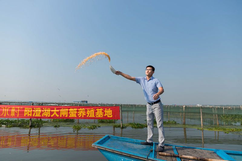 （B 区县列表 三吴大地苏州 移动版）开捕倒计时 阳澄湖大闸蟹日渐肥美