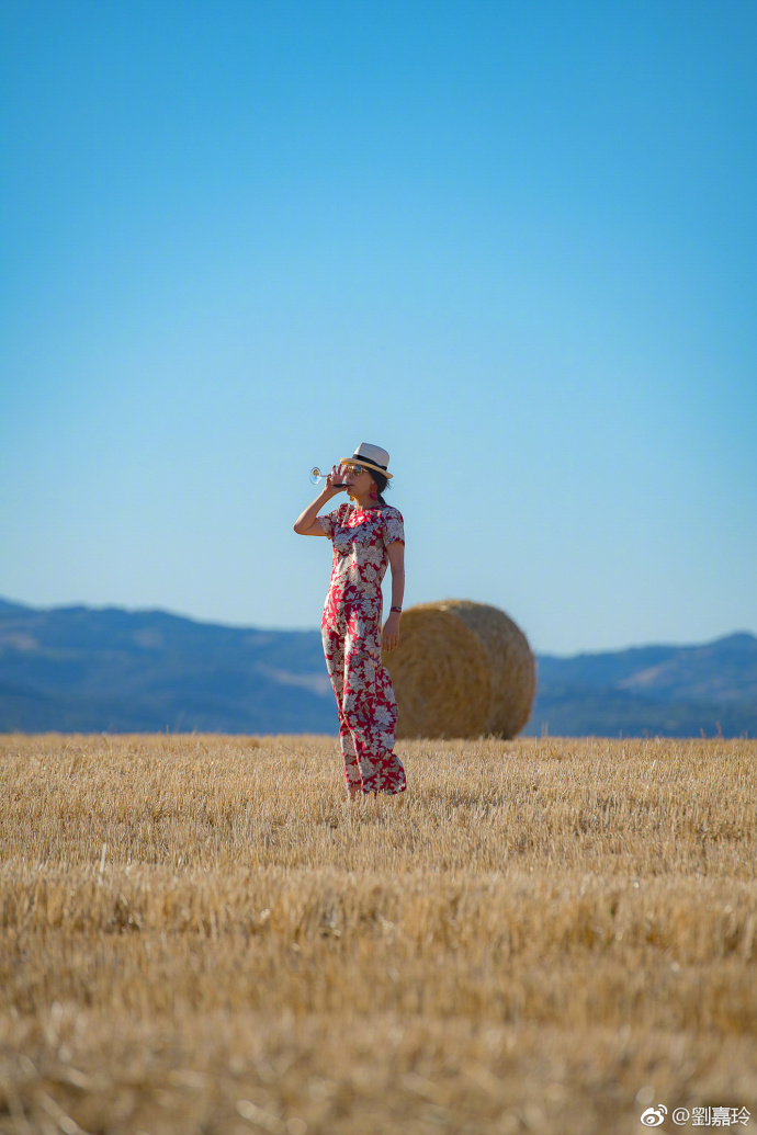 经典东方美!刘嘉玲穿旗袍式红裙品酒 优雅又大方