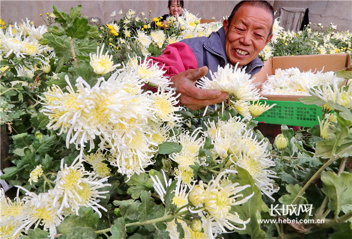 图片默认标题_fororder_2